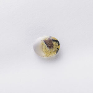 Agates Ward Errabi3