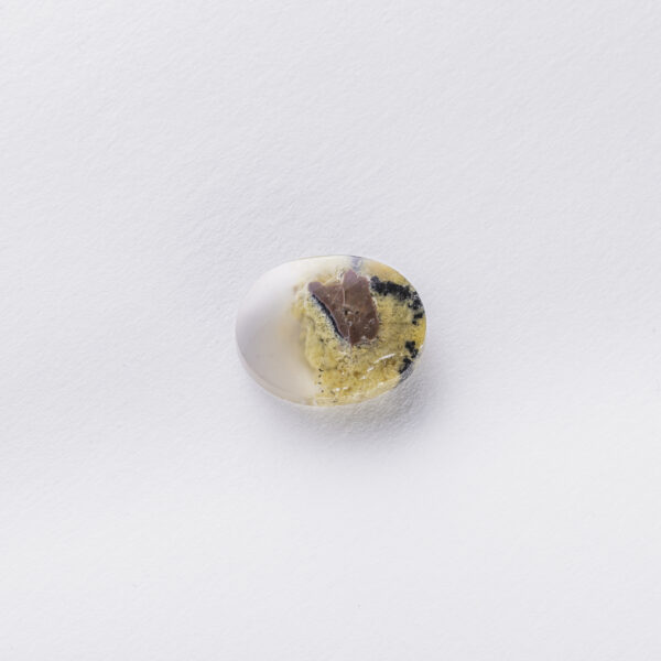 Agates Ward Errabi3