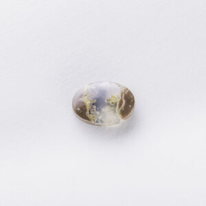 Agates Ward Errabi3
