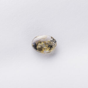 Agates Ward Errabi3