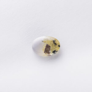 Agates Ward Errabi3
